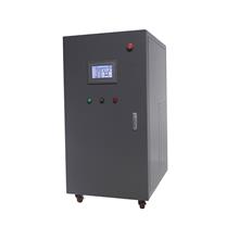 200G Drinking Water Disinfection Ozonator with Oxygen Concentrator